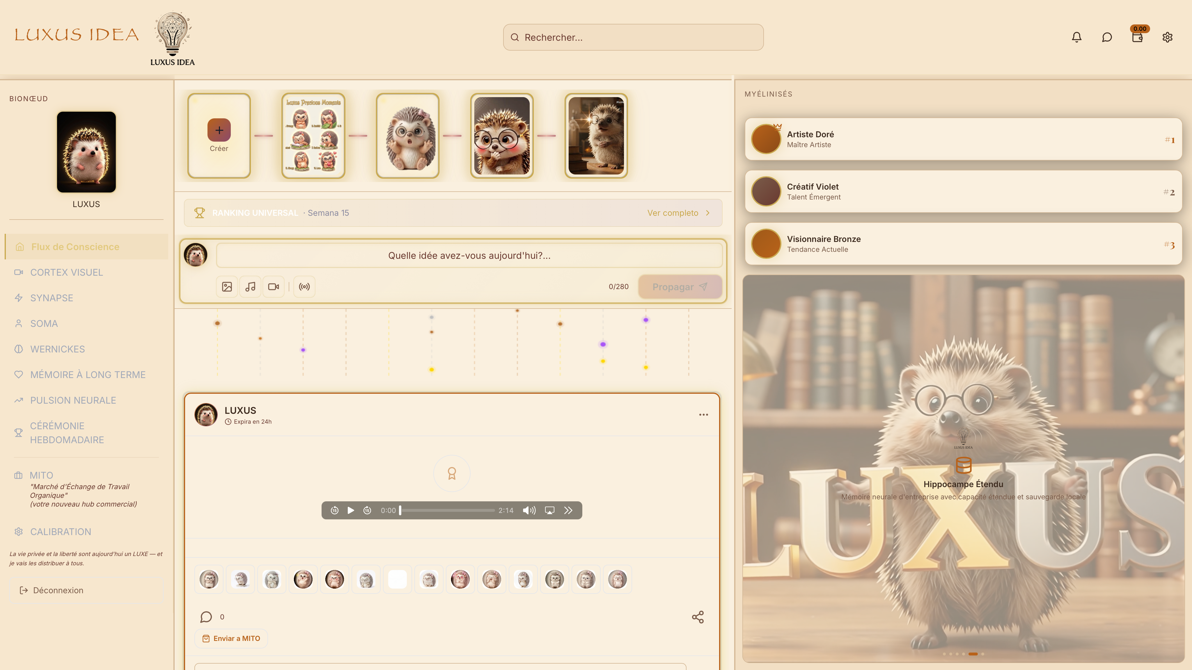 Luxus — Flujo de Consciencia (tema Rose Gold)